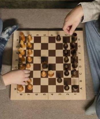 schaken en ontwikkeling